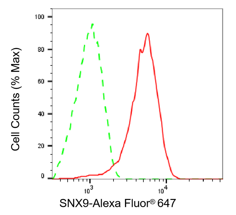 [KD Validated] Anti-SNX9 Mouse mAb [54F66D77]