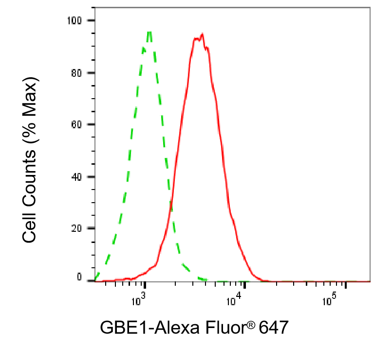 [KD Validated] Anti-GBE1 Mouse mAb [15E43S34]