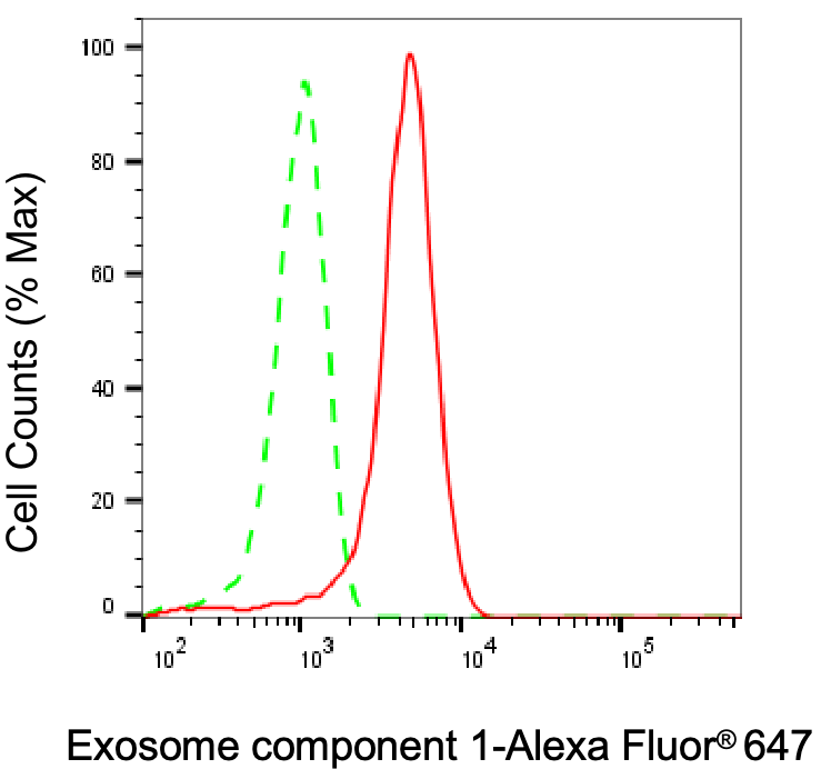 [KD Validated] Anti-EXOSC1 Mouse mAb [79N58C51]