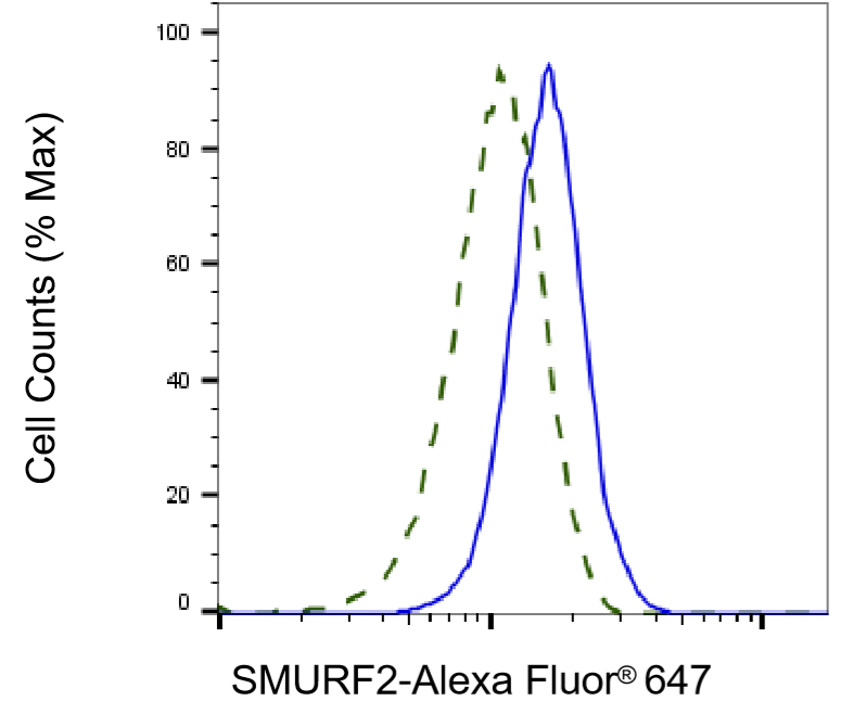 [KD Validated] Anti-SMURF2 Mouse mAb [69P94M58]