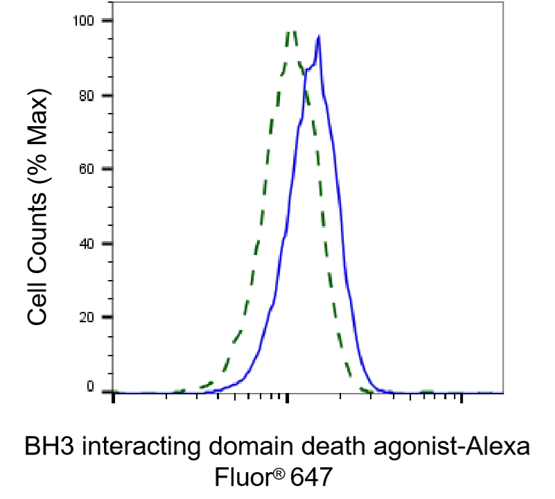 [KD Validated] Anti-BID Mouse mAb [69P62S86]