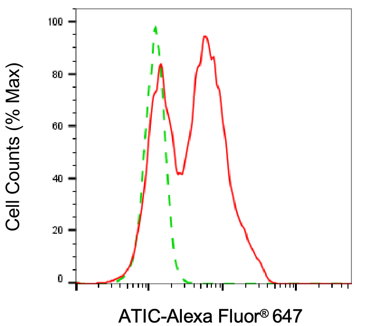 [KD Validated] Anti-ATIC Mouse mAb [76C67S93]