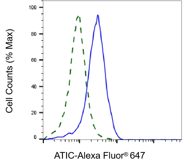 [KD Validated] Anti-ATIC Mouse mAb [76C67S93]