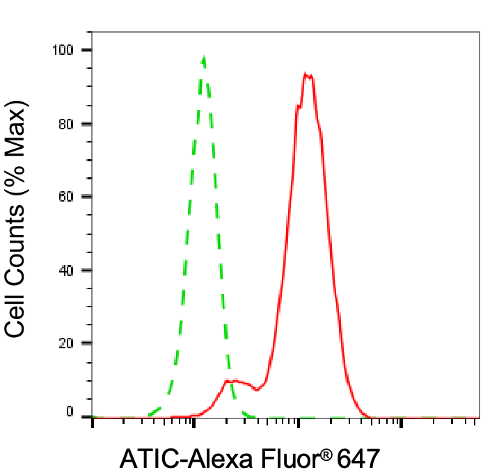 [KD Validated] Anti-ATIC Mouse mAb [39R03C65]