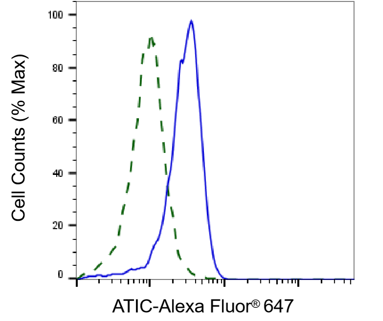[KD Validated] Anti-ATIC Mouse mAb [39R03C65]