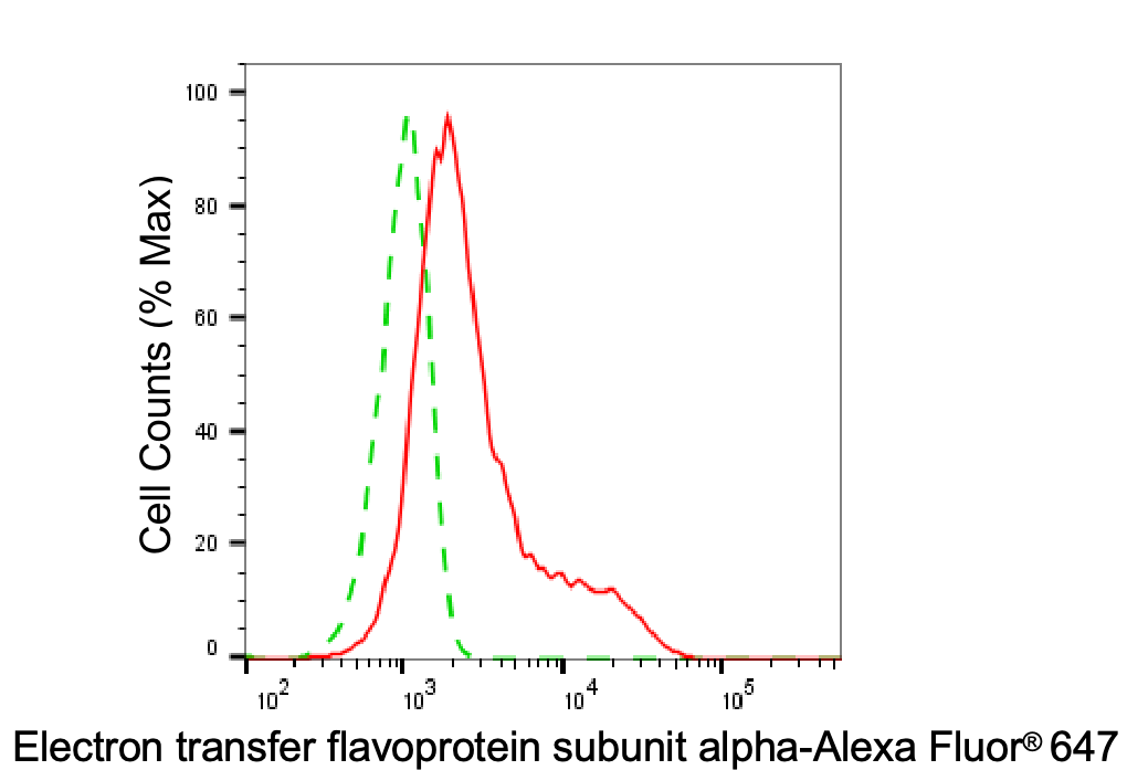 [KD Validated] Anti-ETFA Mouse mAb [39G69K42]