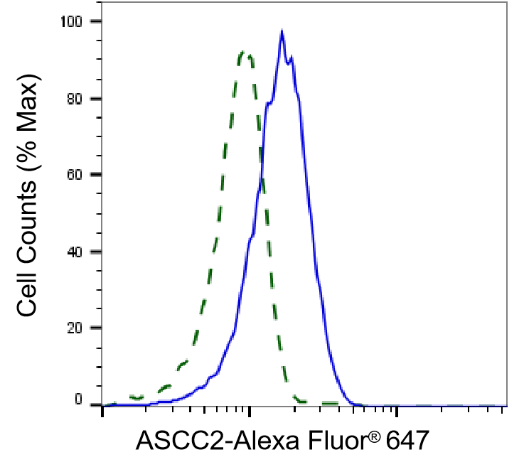[KD Validated] Anti-ASCC2 Mouse mAb [99D98O98]