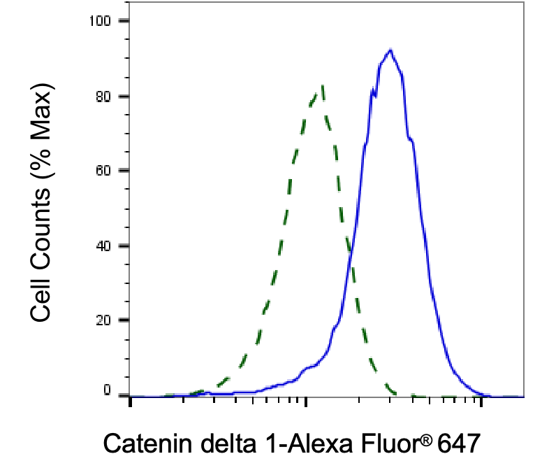 [KD Validated] Anti-CTNND1 Mouse mAb [10B71N98]