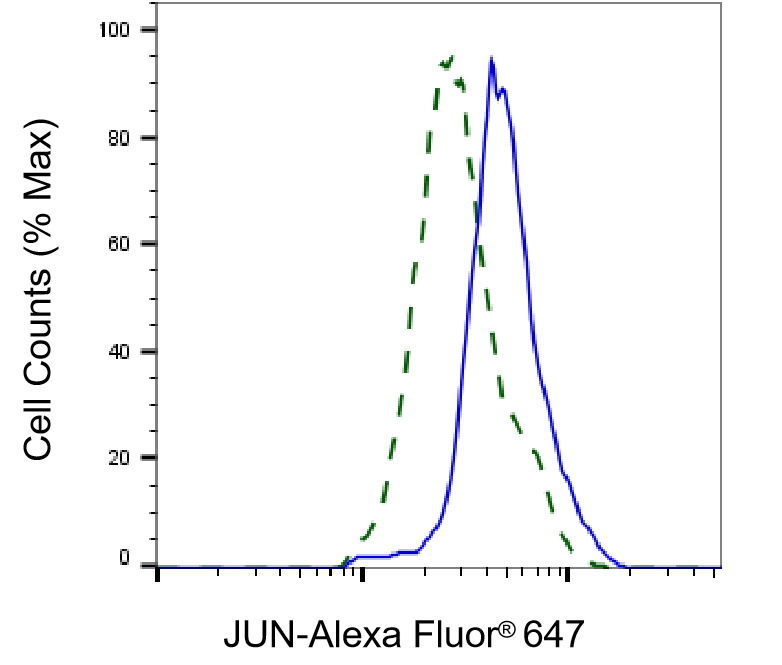 [KD Validated] Anti-JUN Mouse mAb [93R33F52]