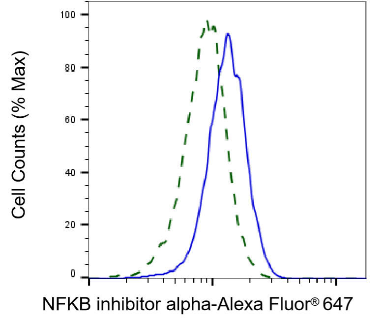 [KD Validated] Anti-NFKBIA Mouse mAb [60R55O67]