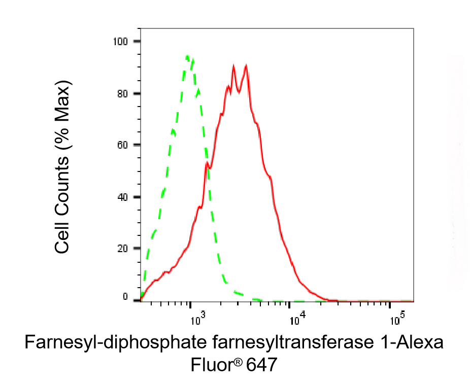 [KD Validated] Anti-FDFT1 Mouse mAb [99R79K72]