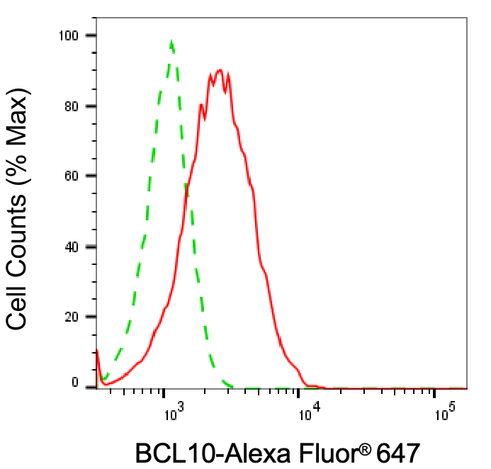 [KD Validated] Anti-BCL10 Mouse mAb [63K39K94]