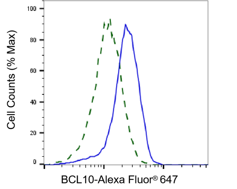 [KD Validated] Anti-BCL10 Mouse mAb [63K39K94]