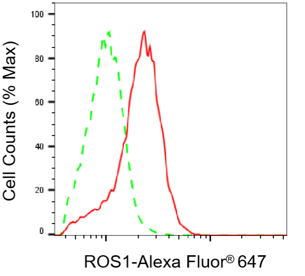 [KD Validated] Anti-ROS1 Mouse mAb [30C80S56]