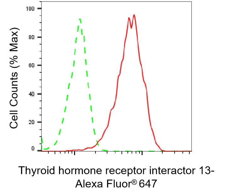 [KD Validated] Anti-TRIP13 Mouse mAb [31T74N63]
