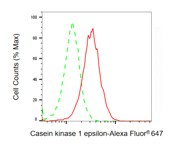 [KD Validated] Anti-CSNK1E Mouse mAb [76E99G25]