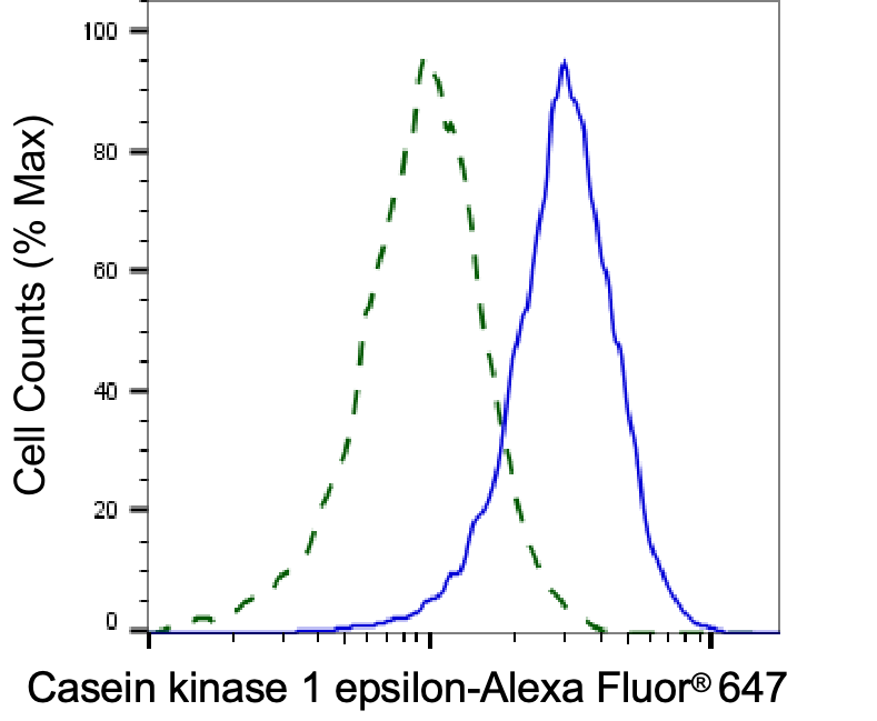 [KD Validated] Anti-CSNK1E Mouse mAb [76E99G25]