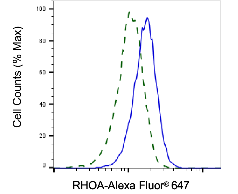[KD Validated] Anti-RHOA Rabbit mAb [27N85J50]