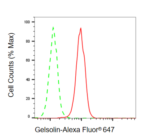 [KD Validated] Anti-GSN Rabbit mAb [67S58K70]
