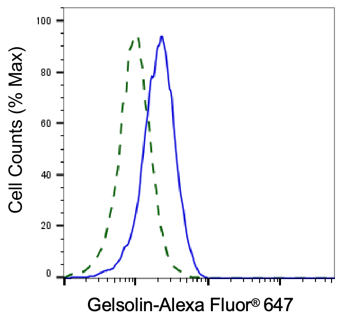 [KD Validated] Anti-GSN Rabbit mAb [67S58K70]