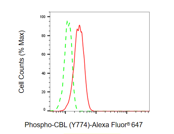 [KD Validated] Anti-CBL Rabbit mAb [34H25O90]
