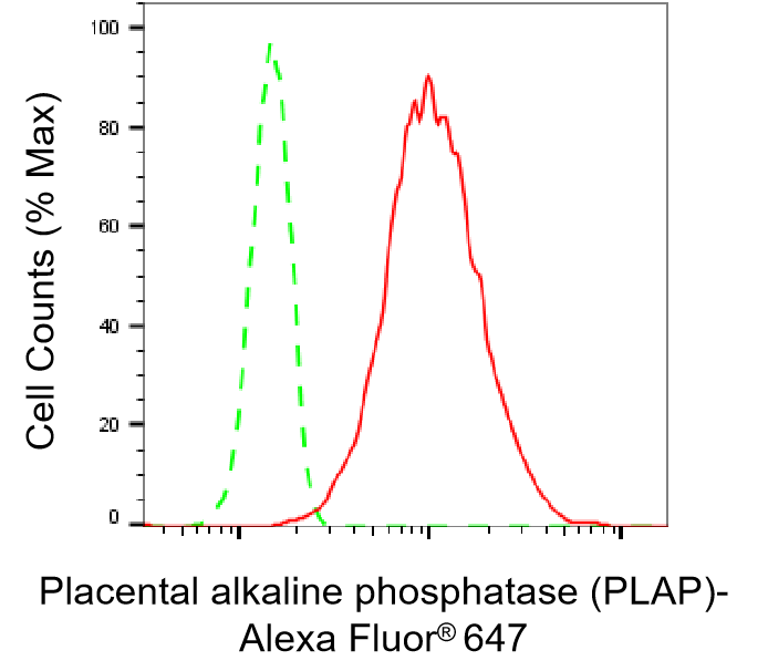 [KO Validated] Anti-ALPP Rabbit mAb [75Q92S39]