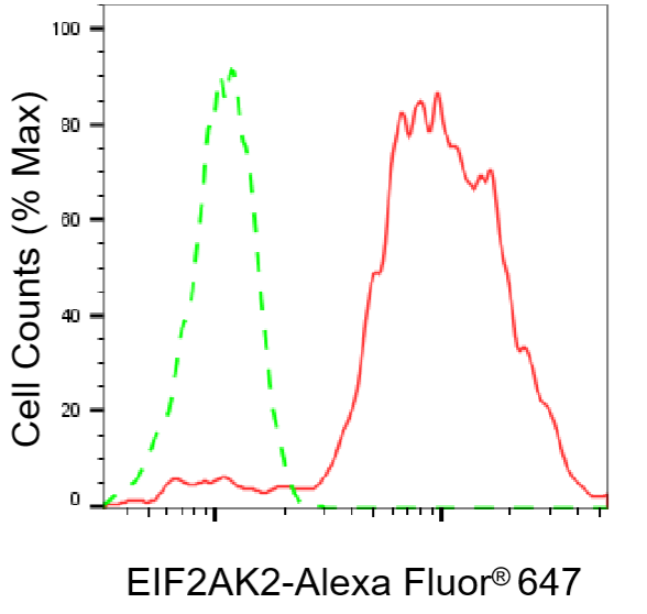 [KO Validated] Anti-EIF2AK2 Rabbit mAb [54R58D61]