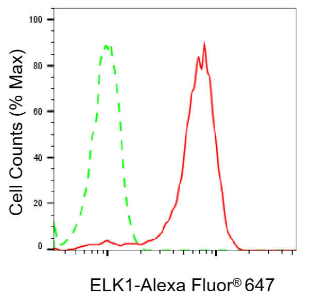 [KO Validated] Anti-ELK1 Rabbit mAb [47C19R13]