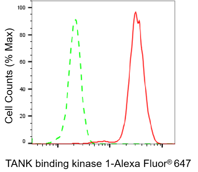 [KO Validated] Anti-TBK1 Rabbit mAb [69Q66S58]