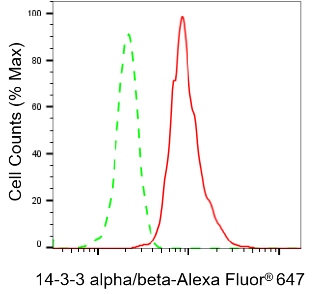 [KO Validated] Anti-YWHAB Rabbit mAb [38T99R70]