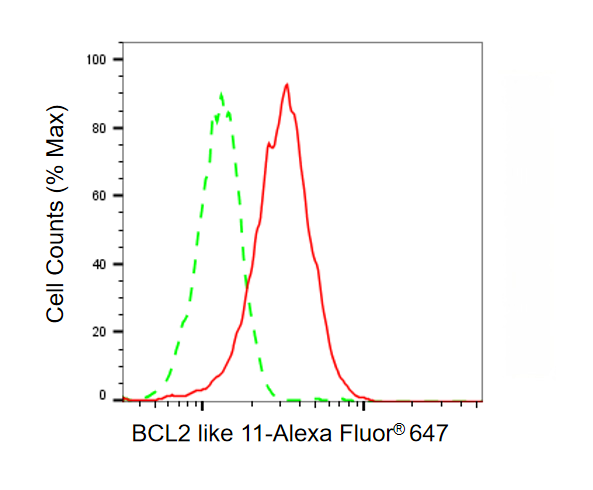 [KO Validated] Anti-BCL2L11 Rabbit mAb [27T47R90]