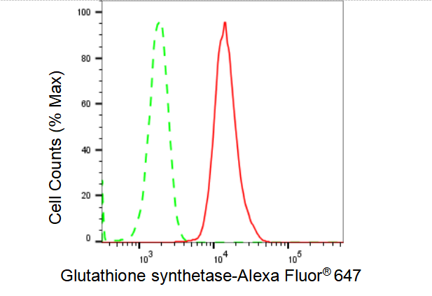 [KD Validated] Anti-GSS Rabbit mAb [70S22H89]