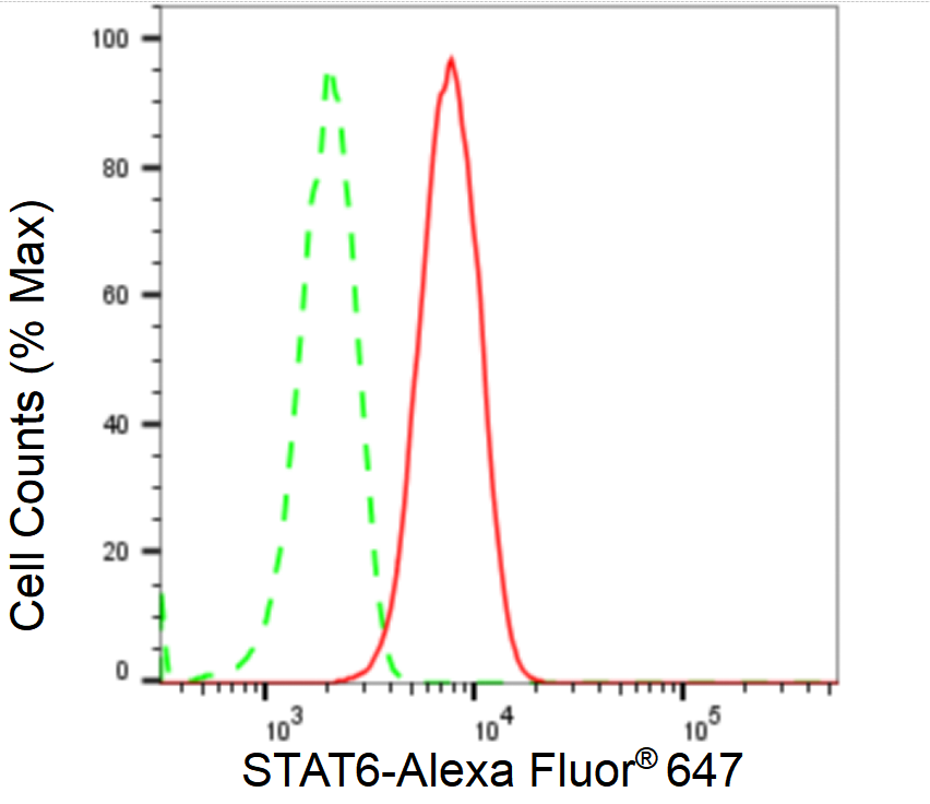[KD Validated] Anti-STAT6 Rabbit mAb [48E40Q12]