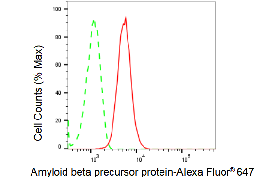 [KD Validated] Anti-APP Rabbit mAb [76L88M26]