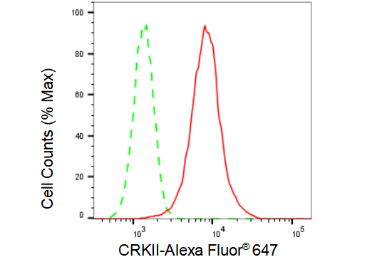 [KD Validated] Anti-CRK Rabbit mAb [63S33Q59]