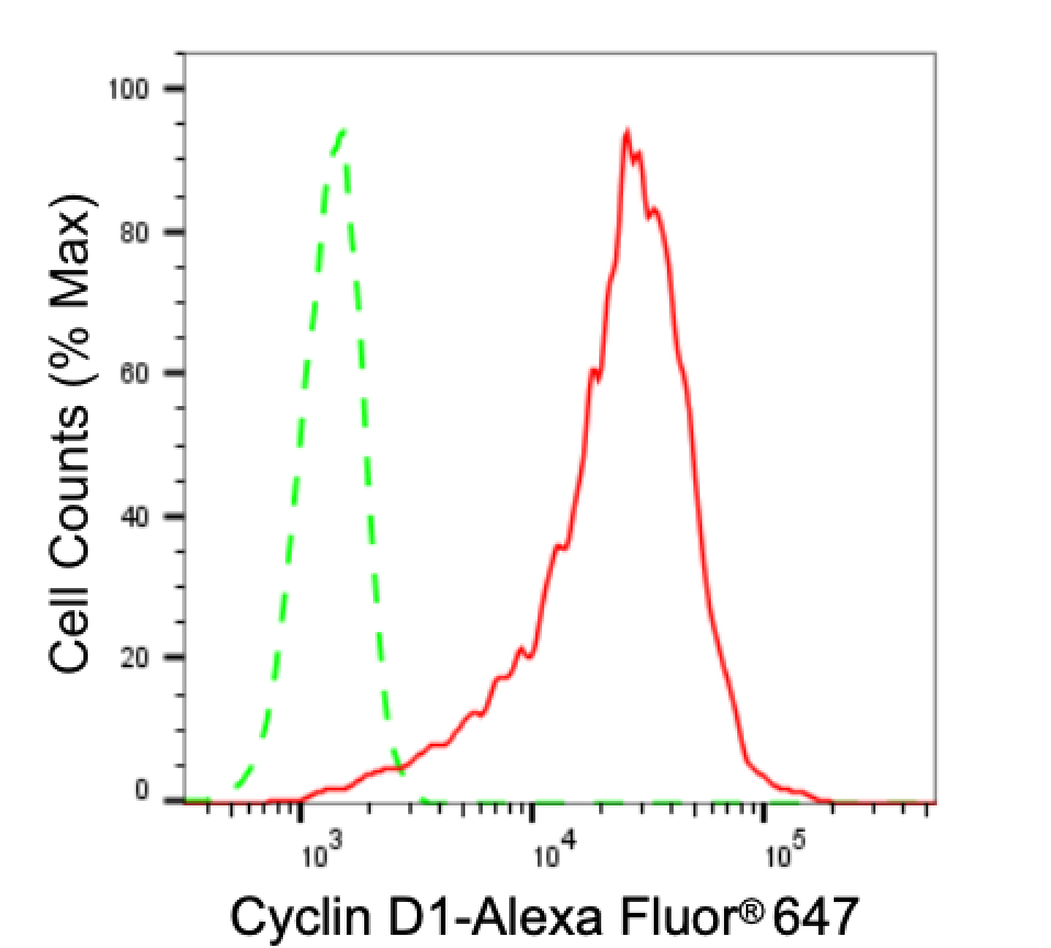 [KD Validated] Anti-CCND1 Rabbit mAb [49S10E73]