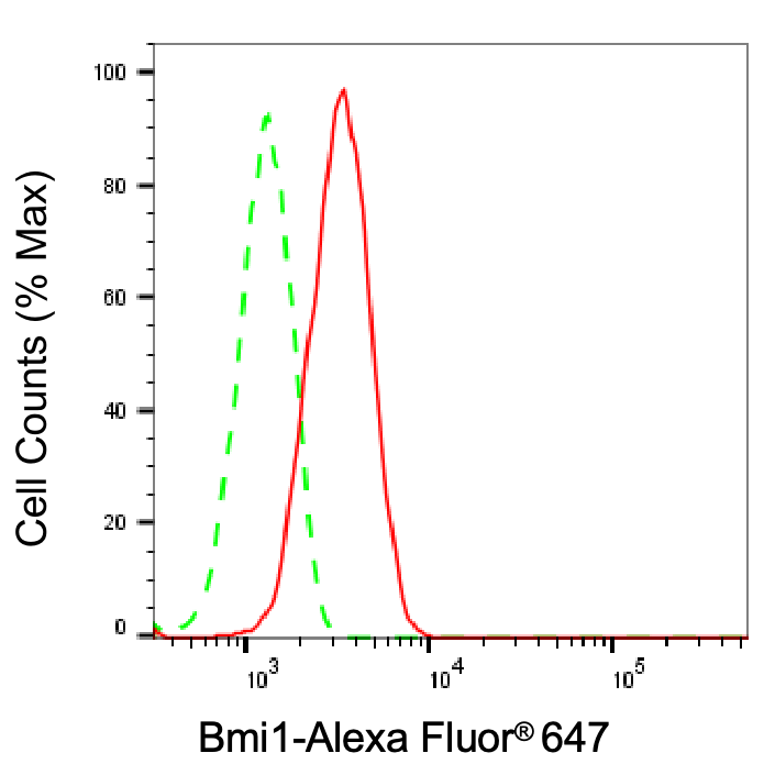 [KD Validated] Anti-BMI1 Rabbit mAb [49P13O11]