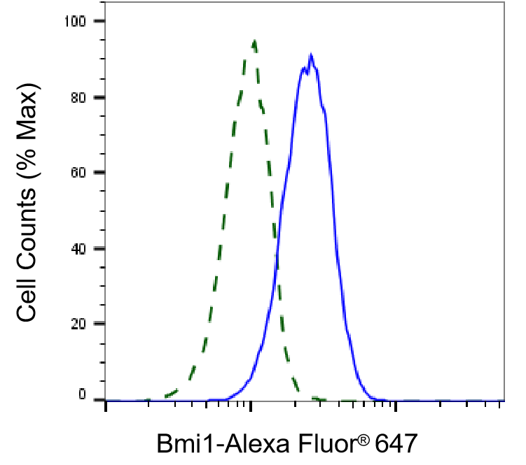 [KD Validated] Anti-BMI1 Rabbit mAb [49P13O11]