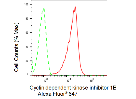 [KD Validated] Anti-CDKN1B Rabbit mAb [70B57G02]