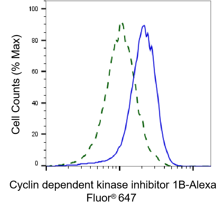 [KD Validated] Anti-CDKN1B Rabbit mAb [70B57G02]