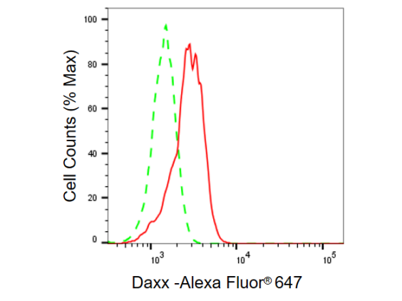[KD Validated] Anti-DAXX Rabbit mAb [18L26S14]