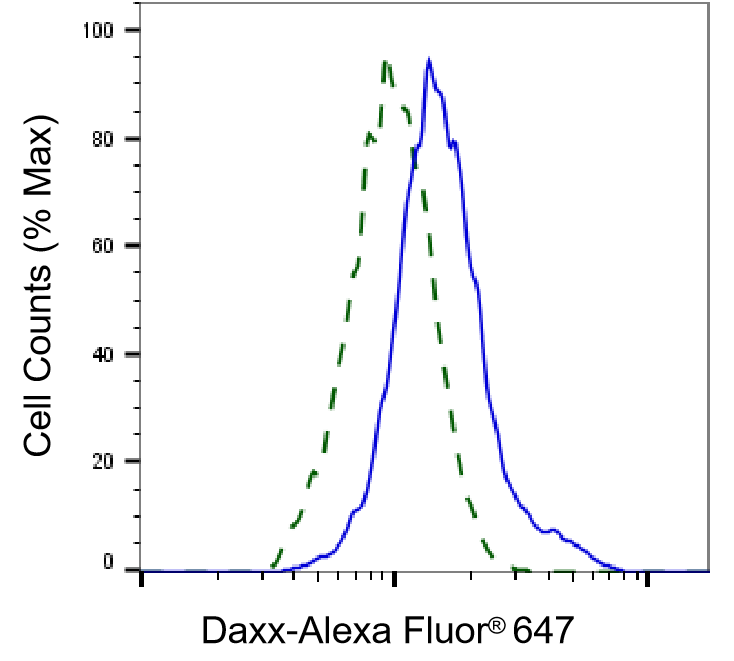 [KD Validated] Anti-DAXX Rabbit mAb [18L26S14]