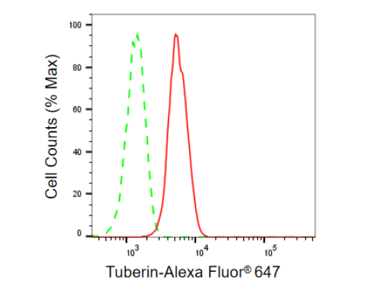 [KD Validated] Anti-TSC2 Rabbit mAb [76B70R61]