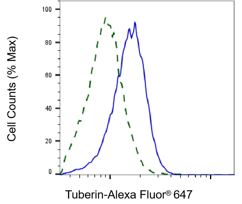 [KD Validated] Anti-TSC2 Rabbit mAb [76B70R61]