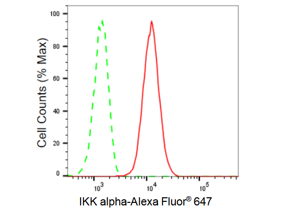 [KD Validated] Anti-CHUK Rabbit mAb [61B46B47]