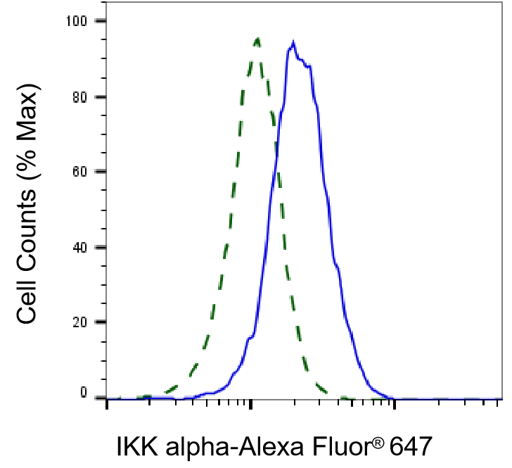 [KD Validated] Anti-CHUK Rabbit mAb [61B46B47]