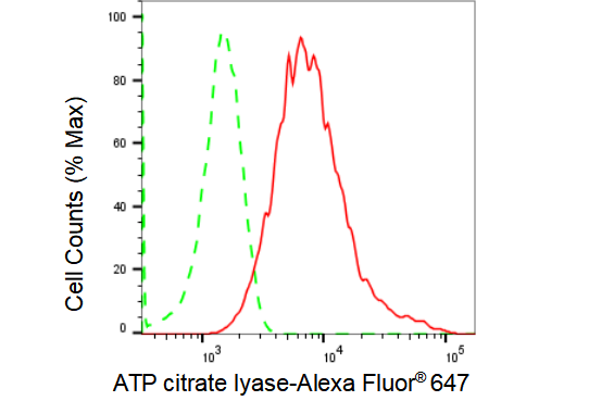 [KD Validated] Anti-ACLY Rabbit mAb [75C11C87]