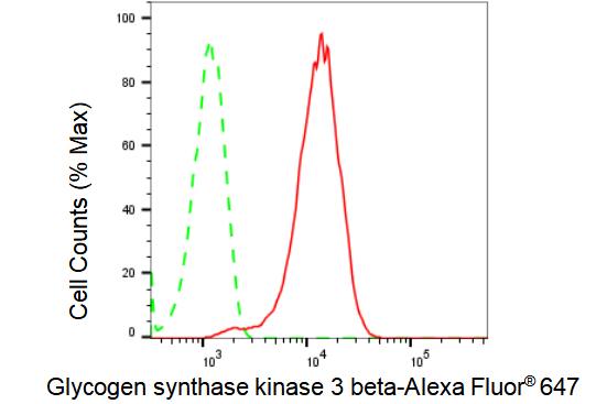 [KD Validated] Anti-GSK3B Rabbit mAb [28C53E23]