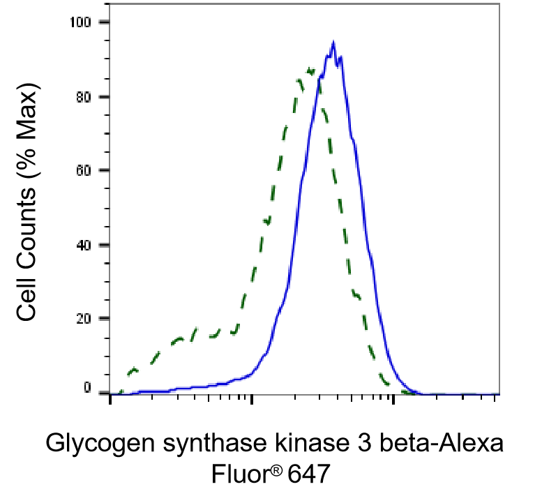 [KD Validated] Anti-GSK3B Rabbit mAb [28C53E23]