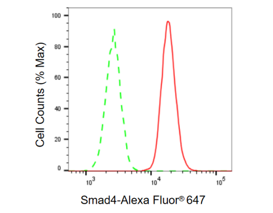 [KD Validated] Anti-SMAD4 Rabbit mAb [40F67E78]